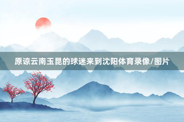 原谅云南玉昆的球迷来到沈阳体育录像/图片