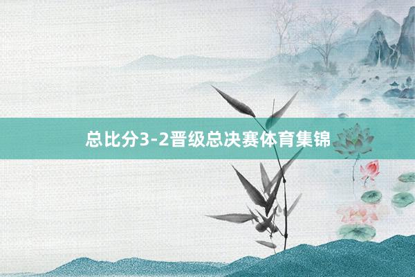 总比分3-2晋级总决赛体育集锦