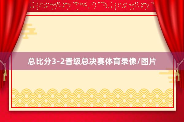总比分3-2晋级总决赛体育录像/图片