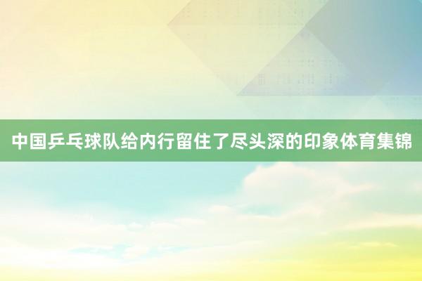 中国乒乓球队给内行留住了尽头深的印象体育集锦