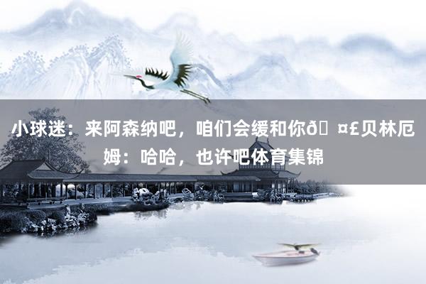 小球迷：来阿森纳吧，咱们会缓和你🤣贝林厄姆：哈哈，也许吧体育集锦