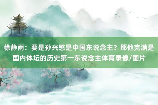 徐静雨：要是孙兴慜是中国东说念主？那他完满是国内体坛的历史第一东说念主体育录像/图片