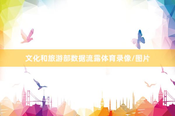 文化和旅游部数据流露体育录像/图片