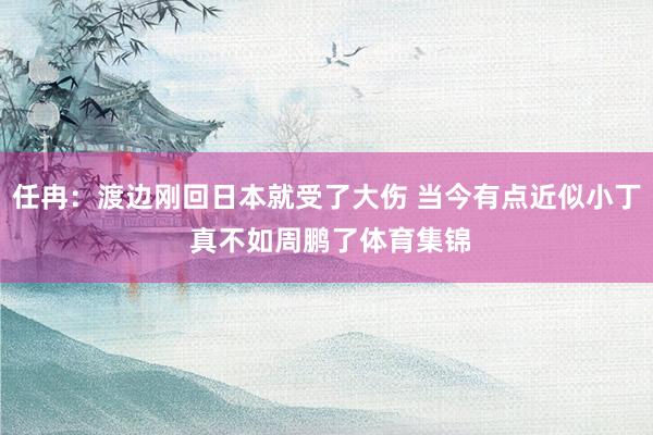 任冉：渡边刚回日本就受了大伤 当今有点近似小丁 真不如周鹏了体育集锦