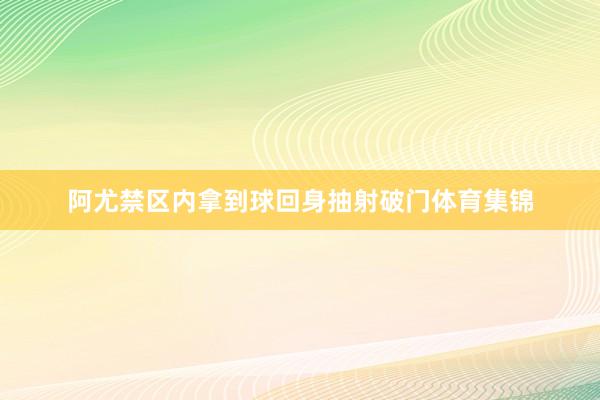 阿尤禁区内拿到球回身抽射破门体育集锦