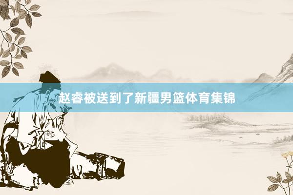 赵睿被送到了新疆男篮体育集锦