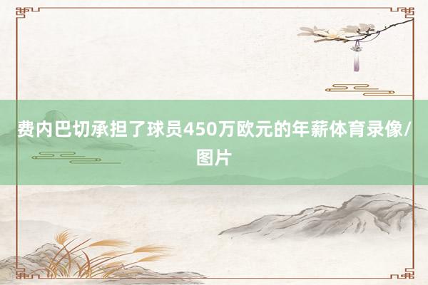 费内巴切承担了球员450万欧元的年薪体育录像/图片