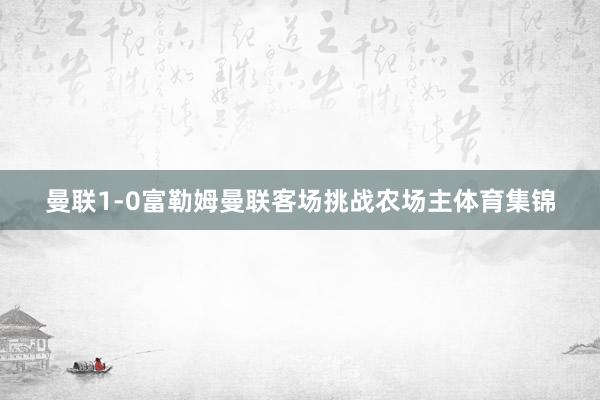 曼联1-0富勒姆曼联客场挑战农场主体育集锦
