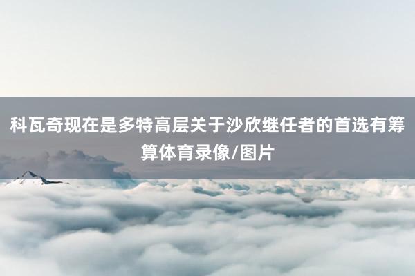 科瓦奇现在是多特高层关于沙欣继任者的首选有筹算体育录像/图片