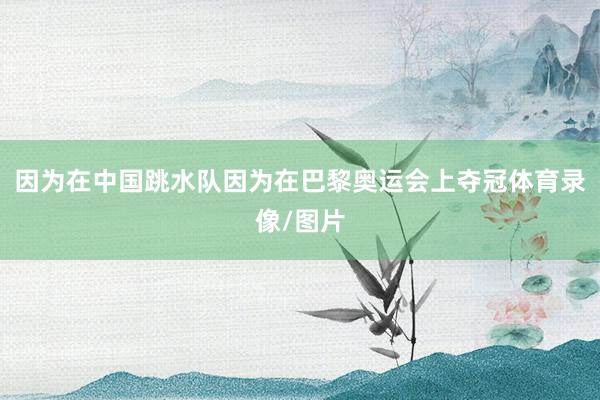 因为在中国跳水队因为在巴黎奥运会上夺冠体育录像/图片