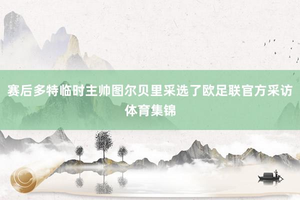 赛后多特临时主帅图尔贝里采选了欧足联官方采访体育集锦