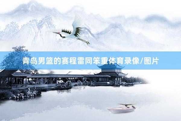青岛男篮的赛程雷同笨重体育录像/图片