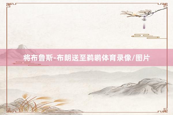 将布鲁斯-布朗送至鹈鹕体育录像/图片