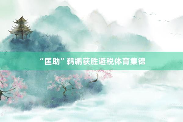 “匡助”鹈鹕获胜避税体育集锦