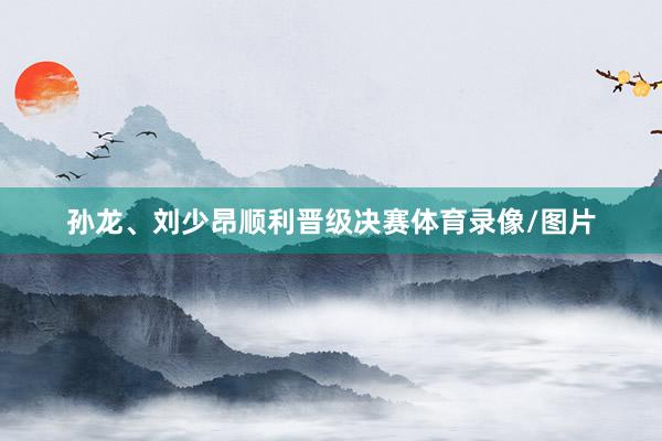 孙龙、刘少昂顺利晋级决赛体育录像/图片