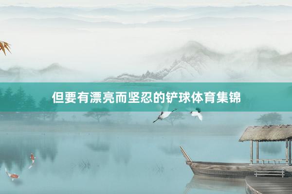 但要有漂亮而坚忍的铲球体育集锦