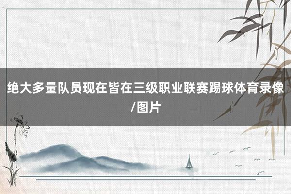绝大多量队员现在皆在三级职业联赛踢球体育录像/图片