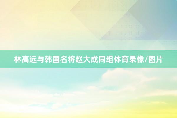 林高远与韩国名将赵大成同组体育录像/图片