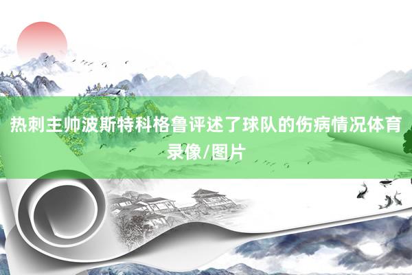 热刺主帅波斯特科格鲁评述了球队的伤病情况体育录像/图片