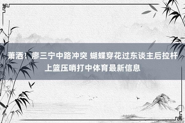 萧洒！廖三宁中路冲突 蝴蝶穿花过东谈主后拉杆上篮压哨打中体育最新信息
