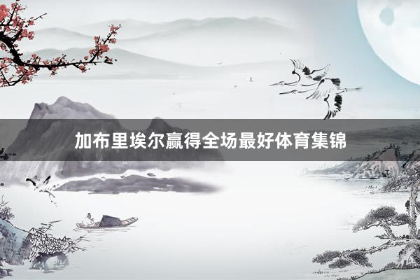 加布里埃尔赢得全场最好体育集锦