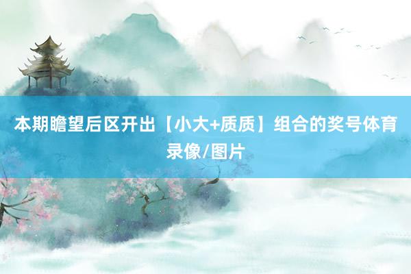 本期瞻望后区开出【小大+质质】组合的奖号体育录像/图片