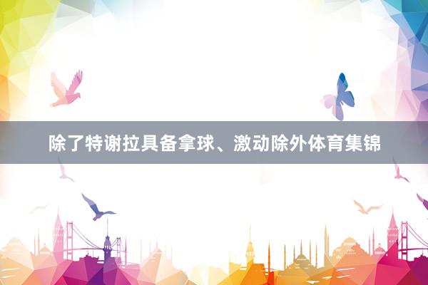 除了特谢拉具备拿球、激动除外体育集锦