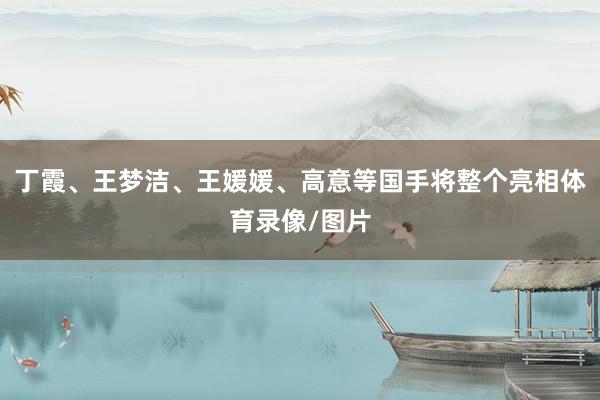 丁霞、王梦洁、王媛媛、高意等国手将整个亮相体育录像/图片