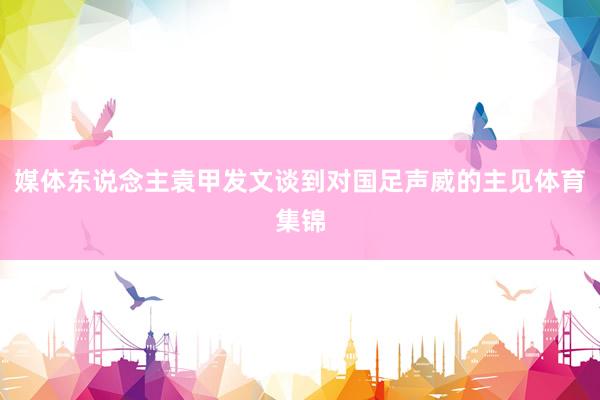 媒体东说念主袁甲发文谈到对国足声威的主见体育集锦