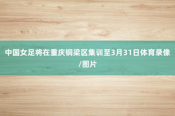 中国女足将在重庆铜梁区集训至3月31日体育录像/图片