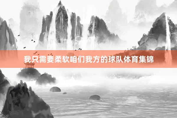 我只需要柔软咱们我方的球队体育集锦