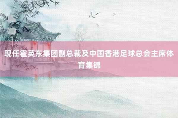 现任霍英东集团副总裁及中国香港足球总会主席体育集锦