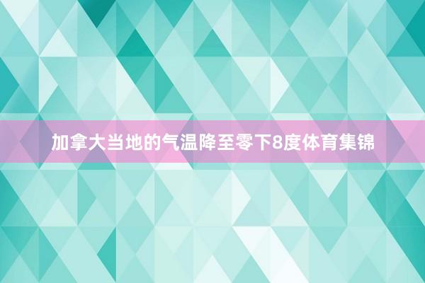 加拿大当地的气温降至零下8度体育集锦