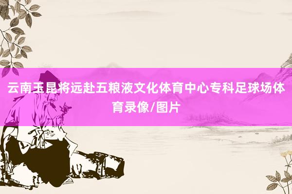 云南玉昆将远赴五粮液文化体育中心专科足球场体育录像/图片