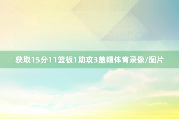 获取15分11篮板1助攻3盖帽体育录像/图片