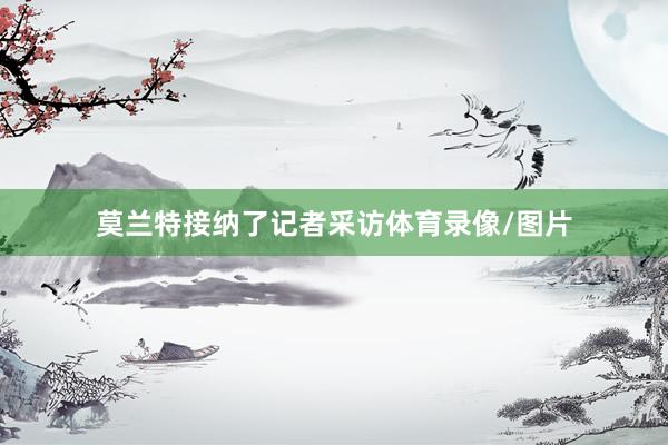 莫兰特接纳了记者采访体育录像/图片