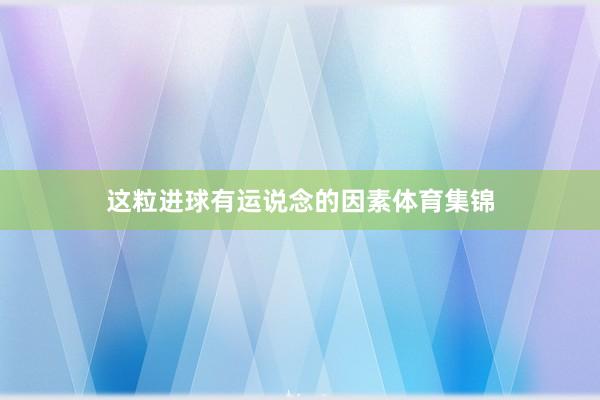 这粒进球有运说念的因素体育集锦