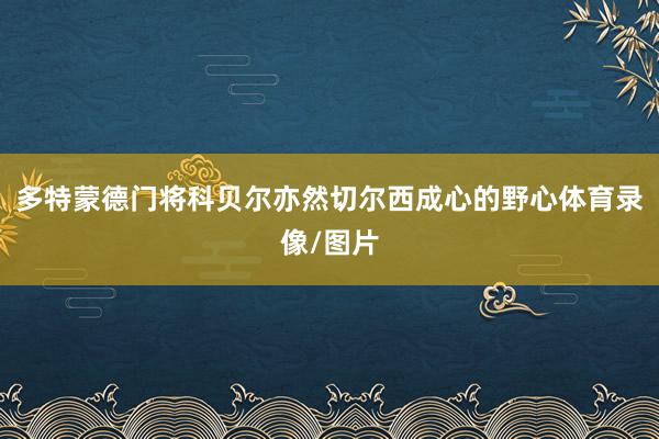 多特蒙德门将科贝尔亦然切尔西成心的野心体育录像/图片