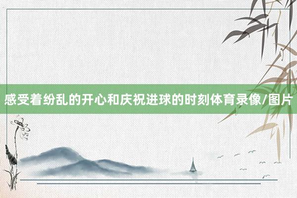 感受着纷乱的开心和庆祝进球的时刻体育录像/图片