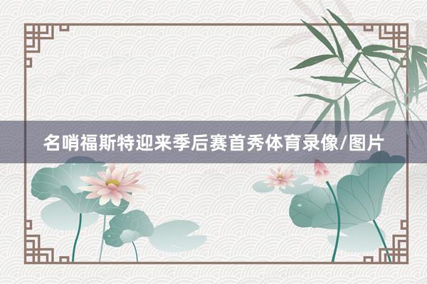 名哨福斯特迎来季后赛首秀体育录像/图片