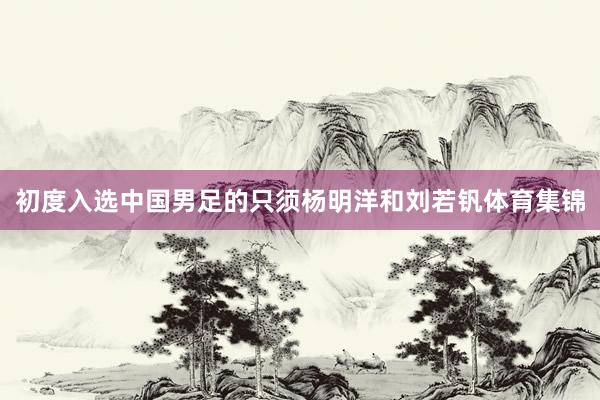 初度入选中国男足的只须杨明洋和刘若钒体育集锦