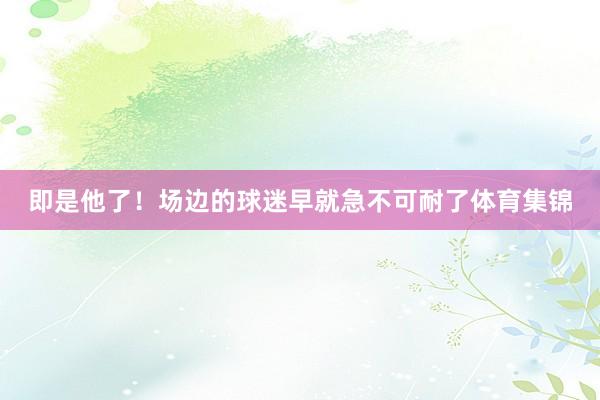 即是他了！场边的球迷早就急不可耐了体育集锦