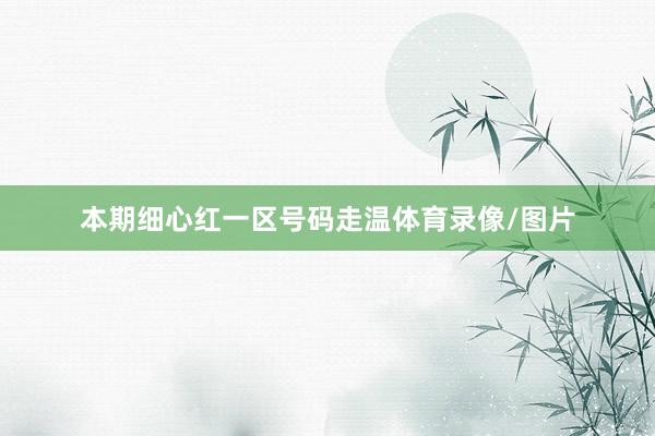 本期细心红一区号码走温体育录像/图片