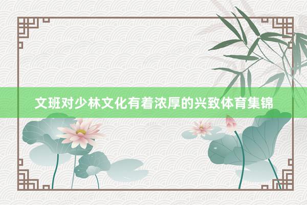 文班对少林文化有着浓厚的兴致体育集锦