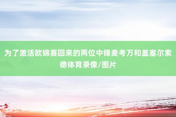 为了激活欧锦赛回来的两位中锋麦考万和盖塞尔索德体育录像/图片