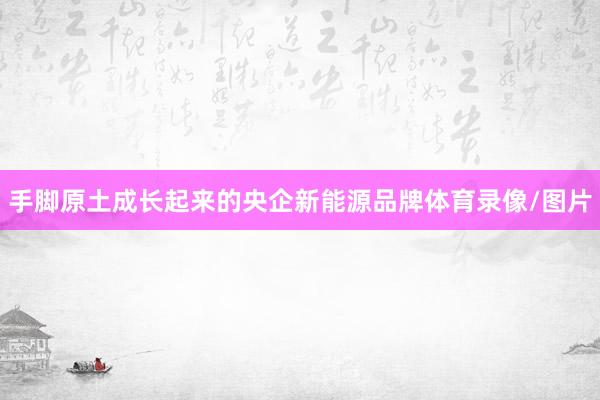 手脚原土成长起来的央企新能源品牌体育录像/图片
