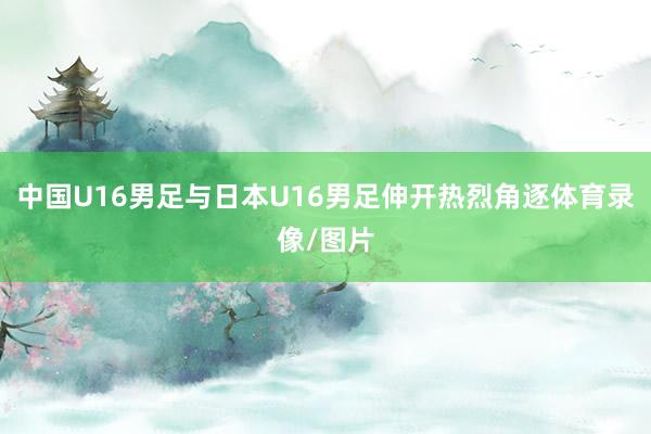 中国U16男足与日本U16男足伸开热烈角逐体育录像/图片