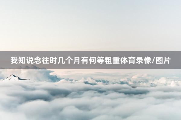 我知说念往时几个月有何等粗重体育录像/图片
