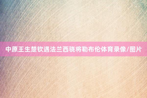 中原王生楚钦遇法兰西骁将勒布伦体育录像/图片