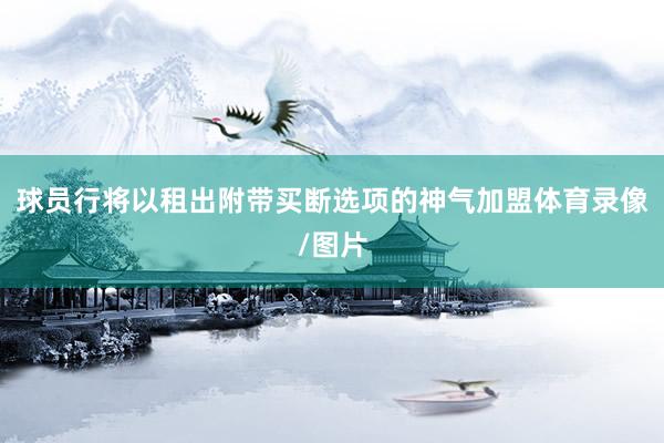球员行将以租出附带买断选项的神气加盟体育录像/图片
